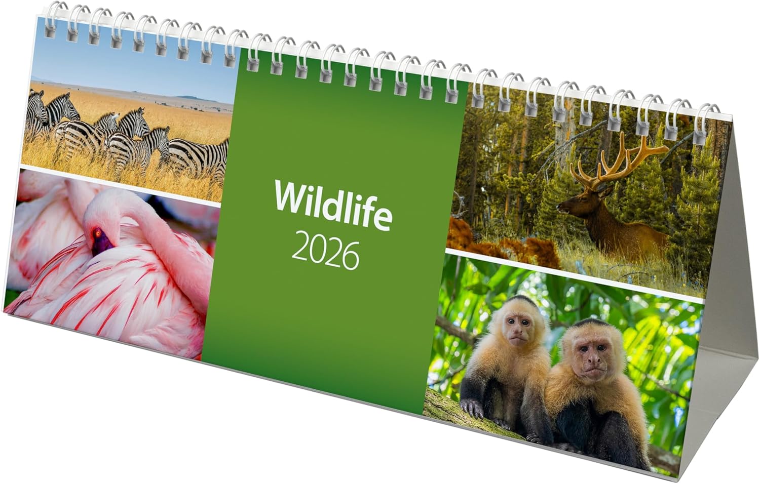 2026 World Wild Life Desk Calendar (CL08)