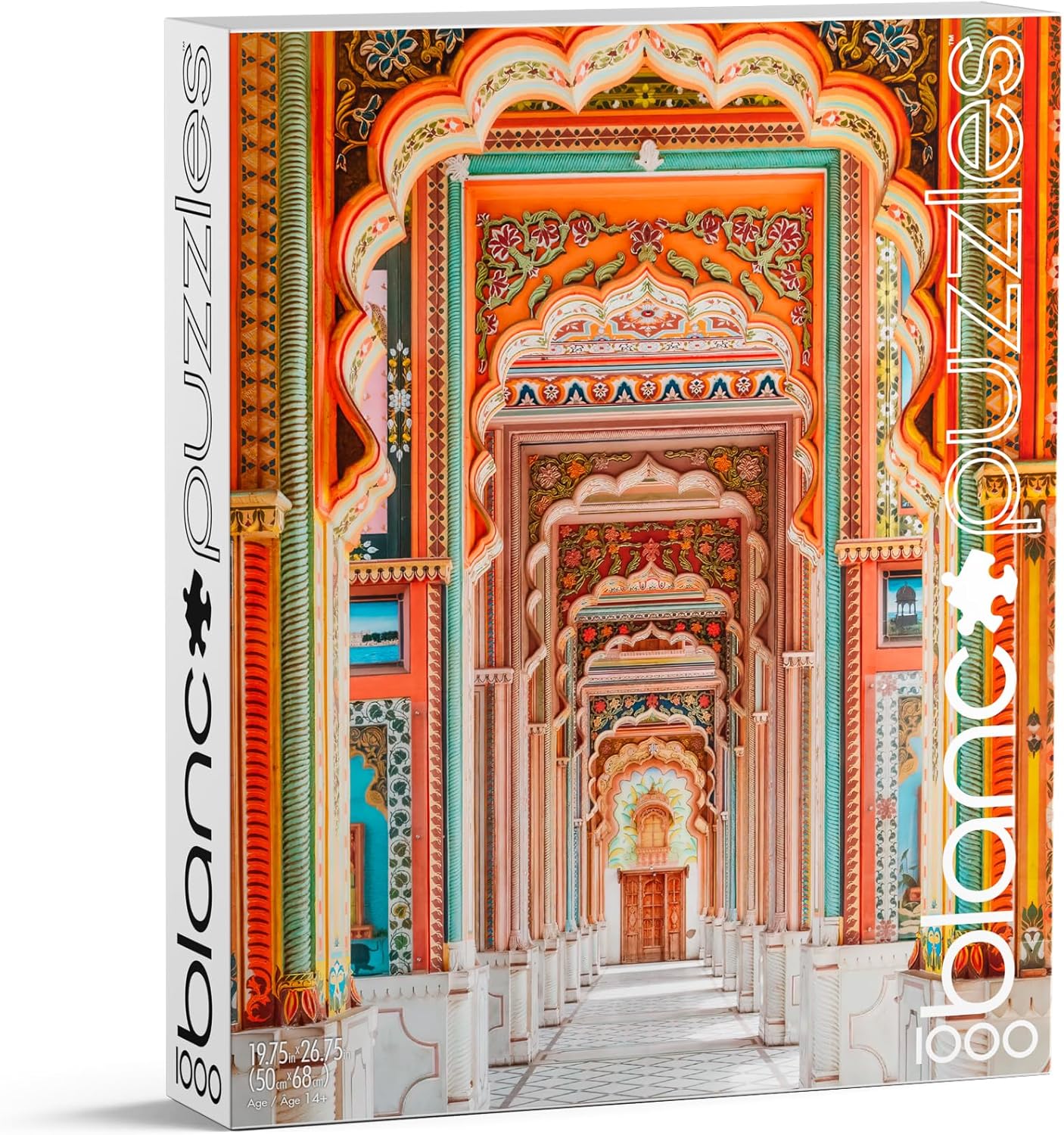 Buffalo Games - blanc - Patrika Gate, India - 1000 Piece Jigsaw Puzzle , White