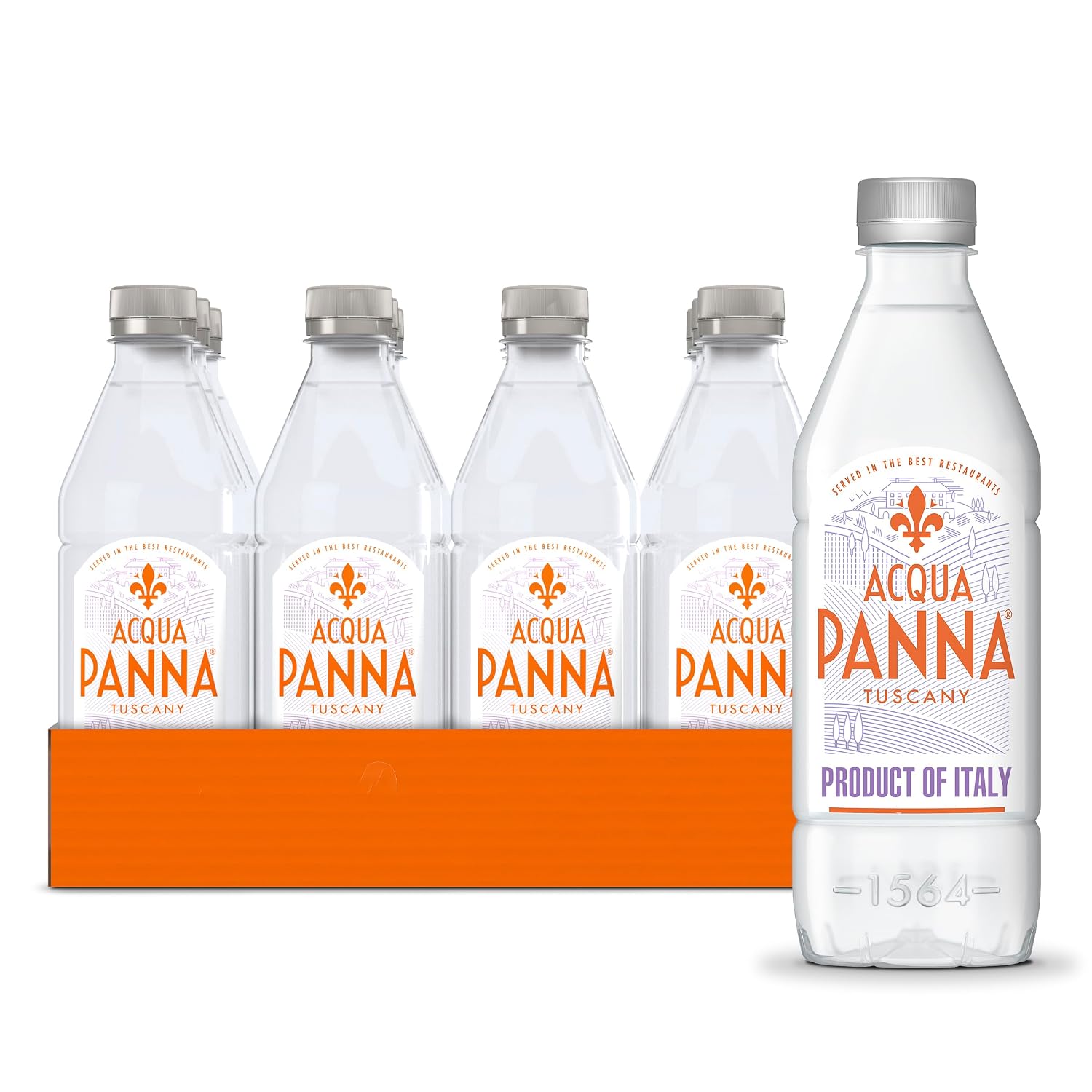 Acqua Panna Italian Natural Spring Water, 16.9 Fl Oz, 12-Pack