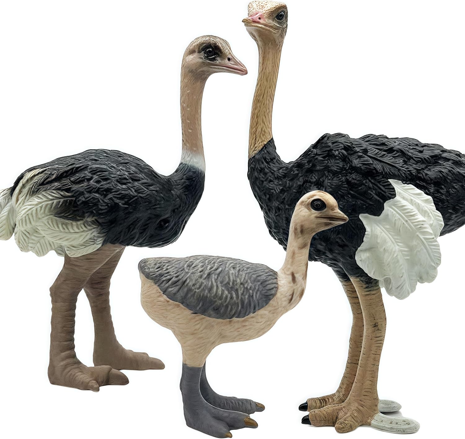 Gemini&Genius Ostrich Action Figure Toys, Jungle Animal Playset Gift, Educational, Cake Toppers, Party Supplies, Ages 3+