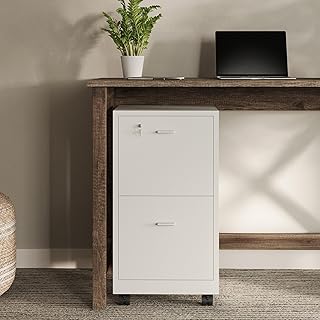Lavish Home File Cabinet - 2-Drawer Cabinet with Lock and Deep Drawer Storage - Rolling Filing Cabinet for Under The Desk, Home, or Office (White)