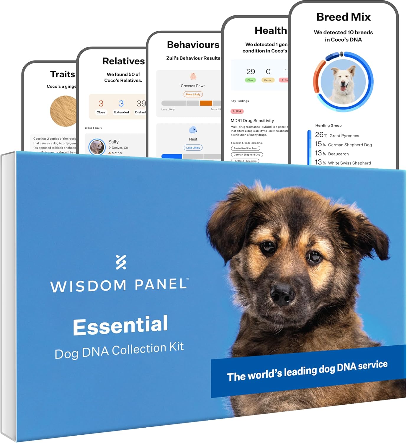Wisdom Panel Essential: Most Accurate Dog DNA Test Kit for Breed ID and Ancestry | 25+ Genetic Health Conditions | Traits | Relatives,white,75 g (Pack of 1)