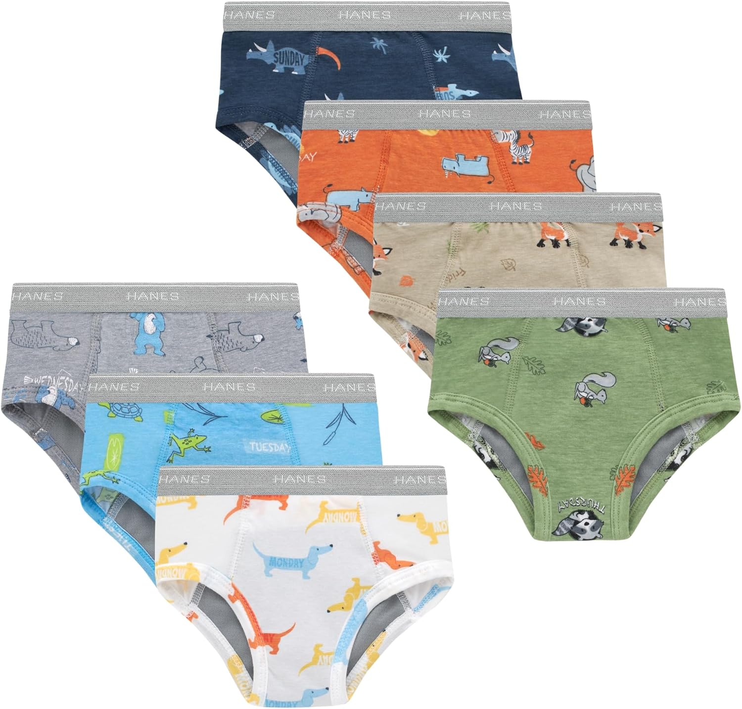 Hanes Trainer Briefs, Light Leaks Potty Training Underwear for Toddler Boys, Multipacks