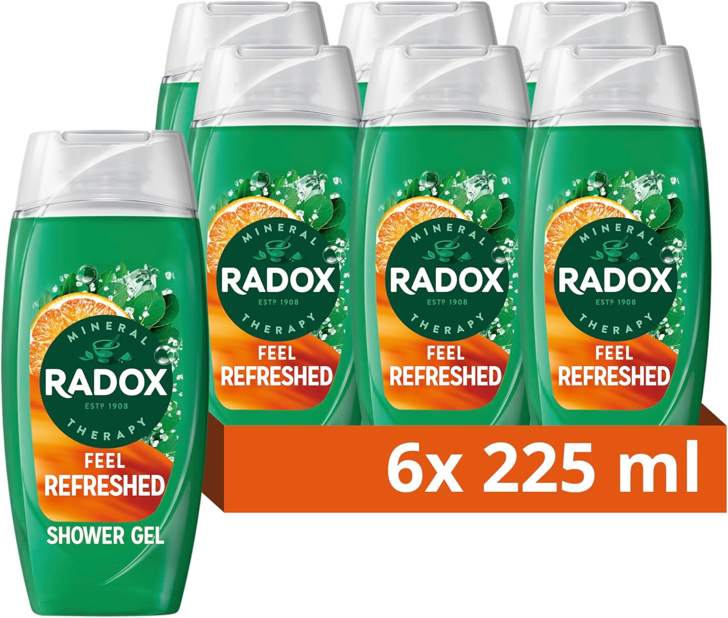 Radox Mineral Therapy Feel Refreshed Shower Gel with Eucalyptus & Citrus Scent- 225ml (Pack of 6)