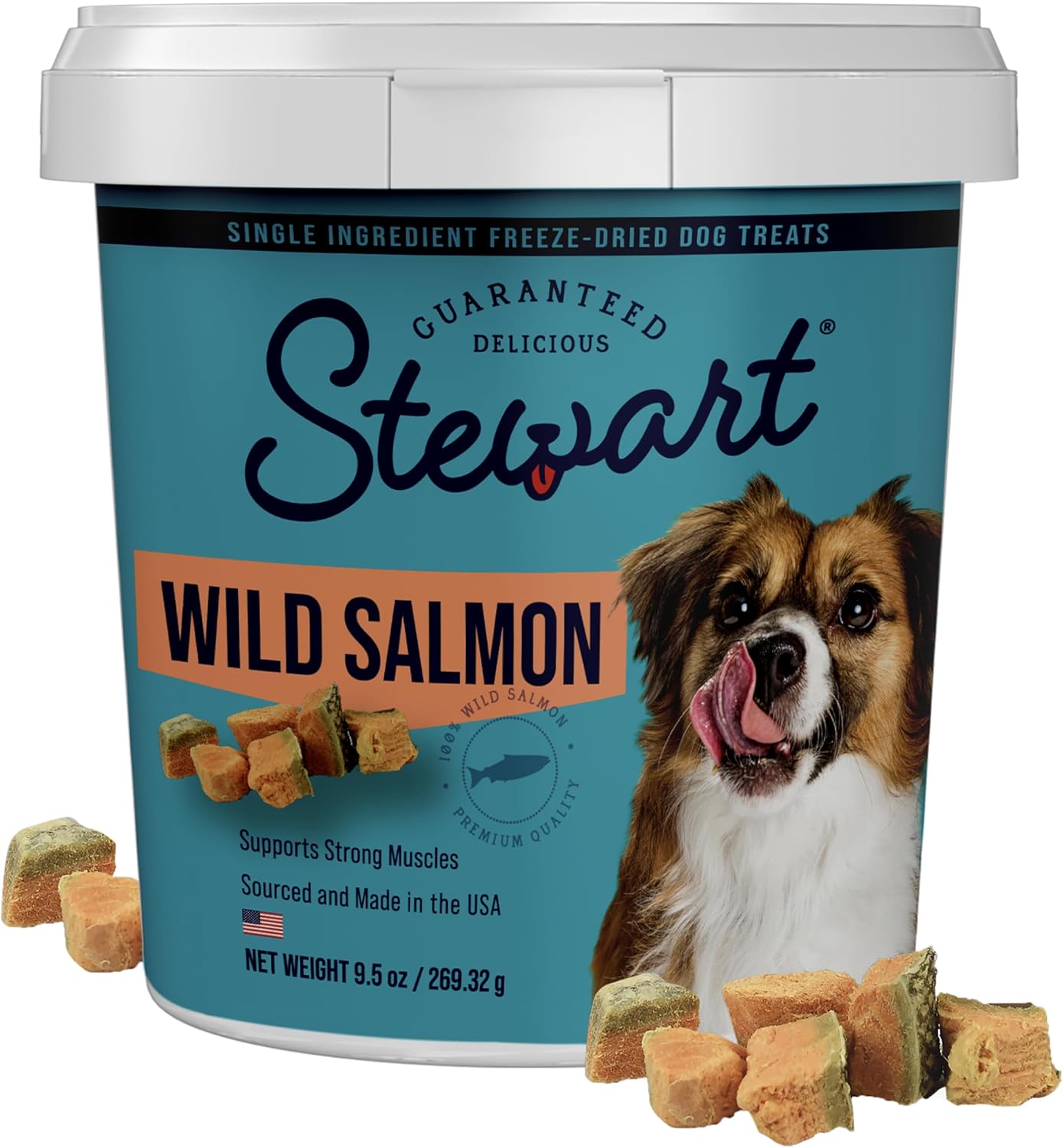 Stewart Single Ingredient Freeze Dried Raw Dog Treats, Wild Salmon, 9.5 Ounce Resealable Tub, Training Treats or Meal Topper Dogs, High Protein, Grain-Free, Gluten-Free