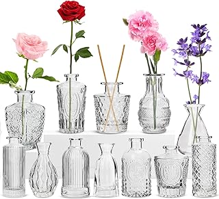 RUCKACE Bud Vases Set of 12 Small Vases Clear Flower Vintage Vases for Centerpiece Table Wedding Decorations Home Decor Party(Transparent)