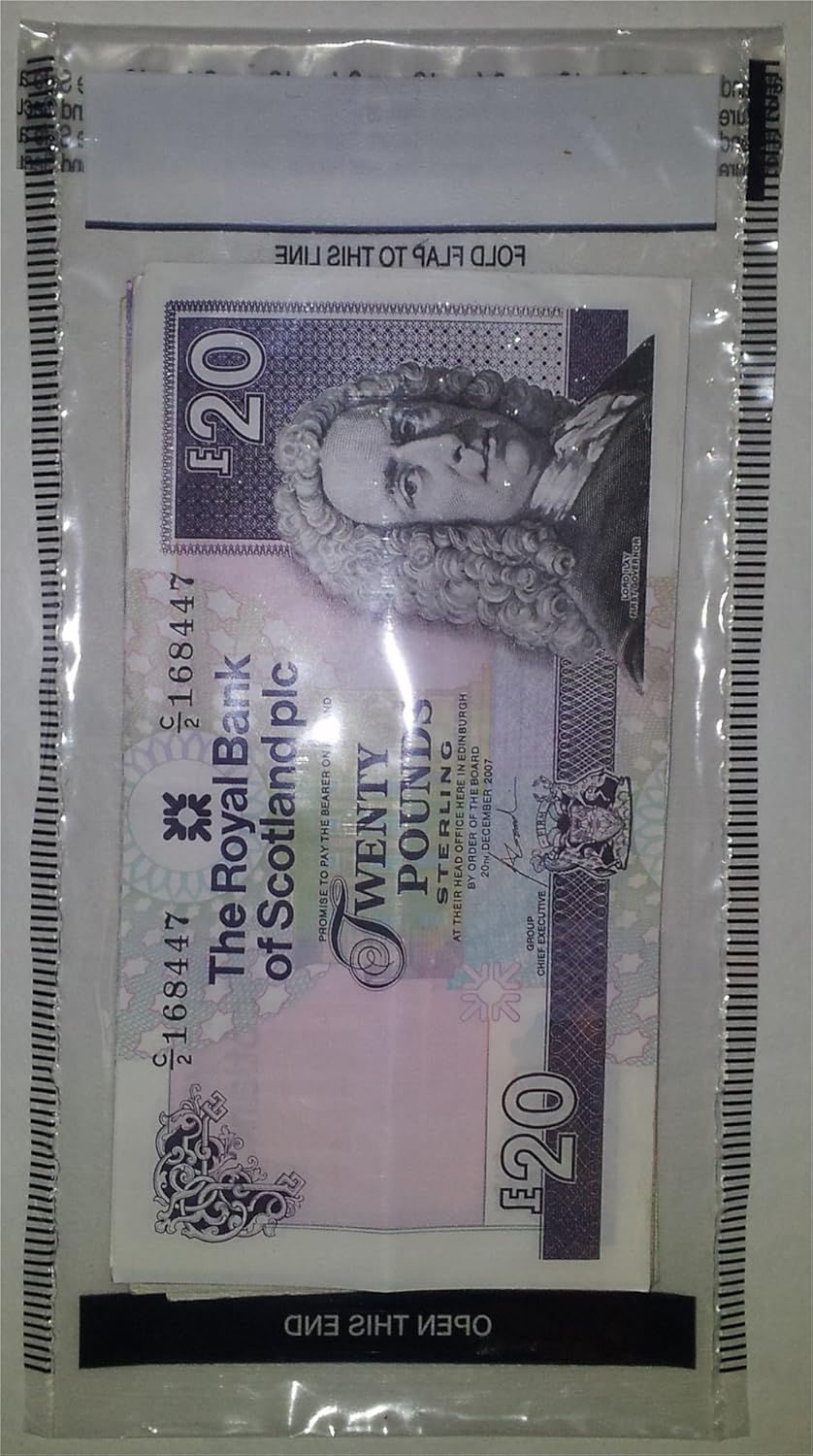 Swoosh Supplies 100 x White Plastic Tamper Evident Cash Bags (10.5cm x 20.5cm, 40mu LDPE, Sequential Numbering)