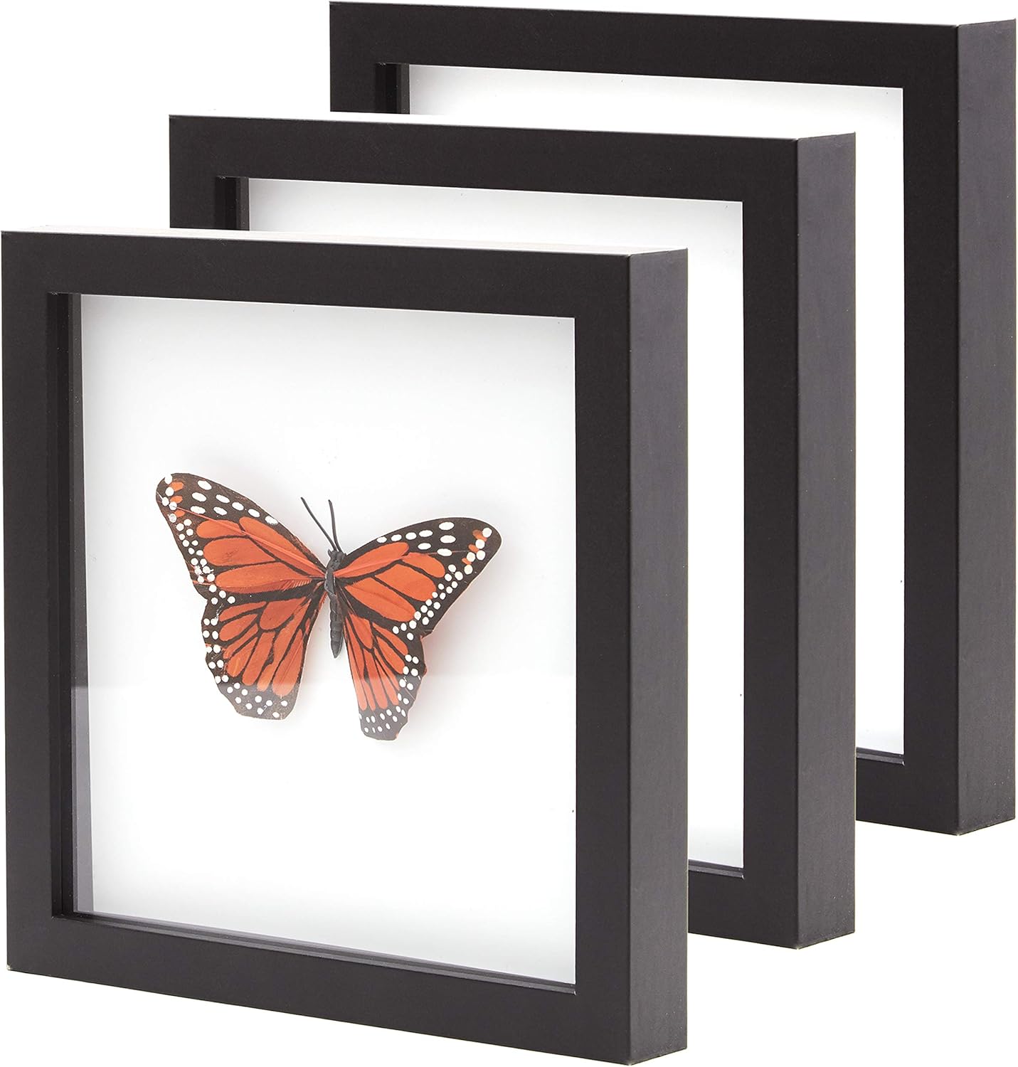Super-Sturdy, Real Wood 8x8 Shadow Box Frame 3pk. Hardwood Display with Real Glass. Best Shadowbox to Showcase Photos, Tickets, Wedding Bouquets, CDs, Medals, Awards and Insects (3, Display Black)
