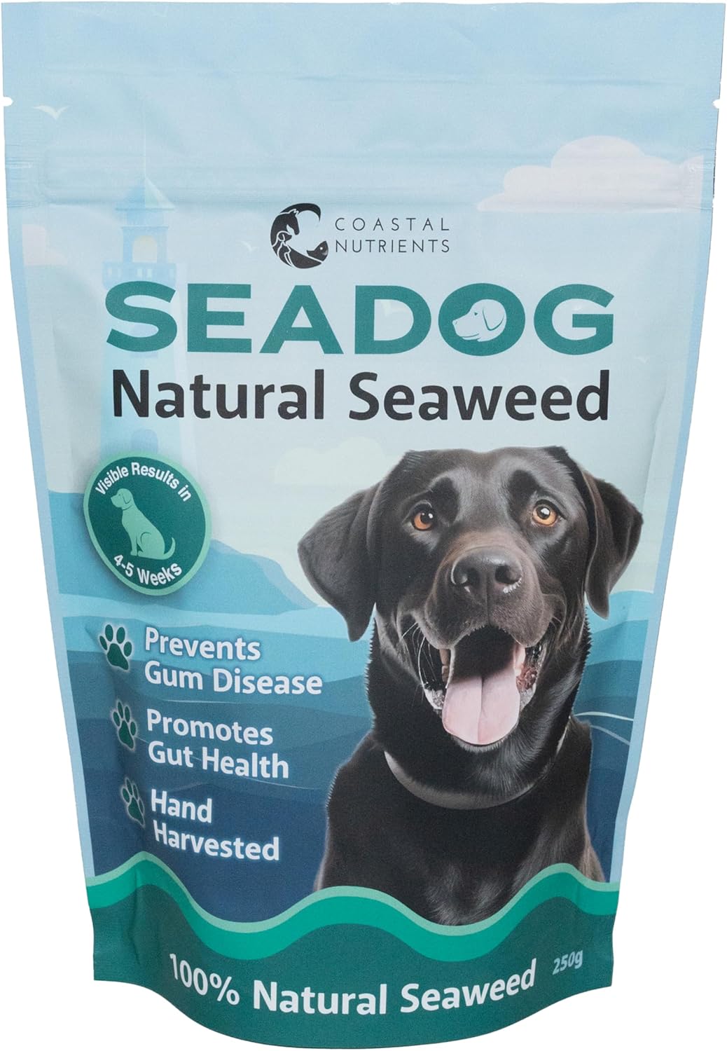 Sea Dog Dental Powder for Dogs by Coastal Nutrients with Scoop - Seaweed for Dogs - Natural Dog Breath Freshener & Dog Plaque Powder - Natural and Sustainably Sourced - 250g Pouch