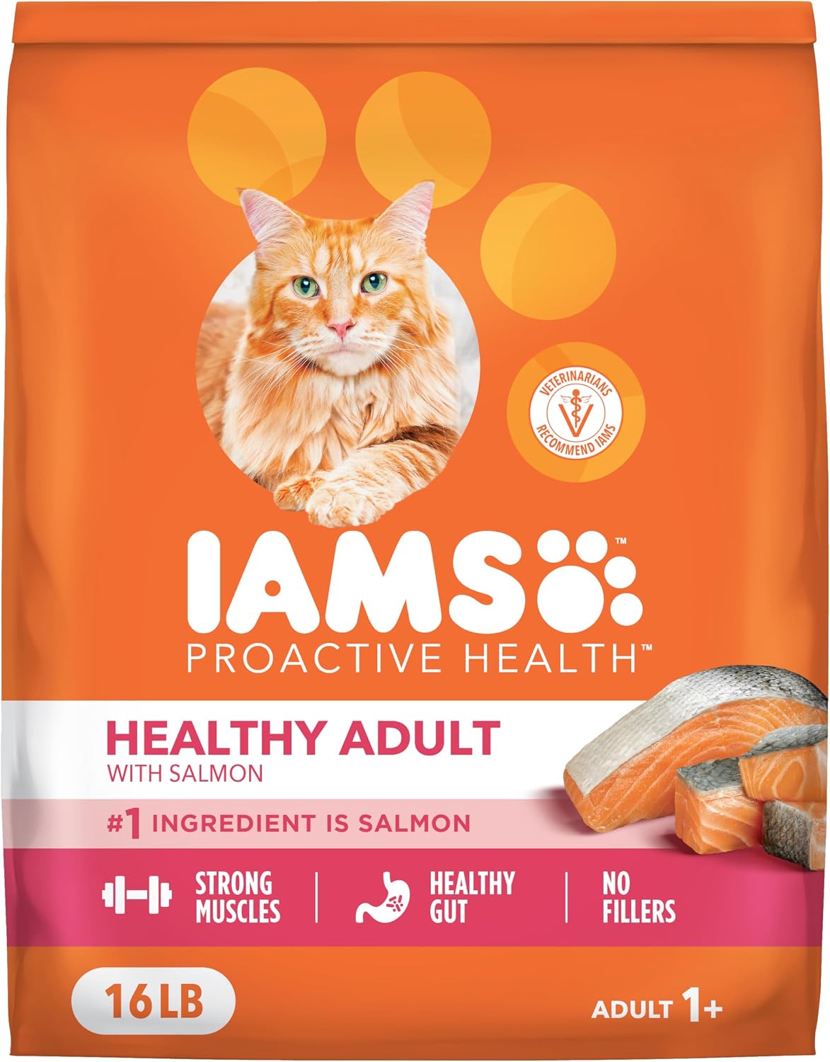 IAMS Proactive Health Healthy Adult Dry Cat Food, Salmon, 16 lb