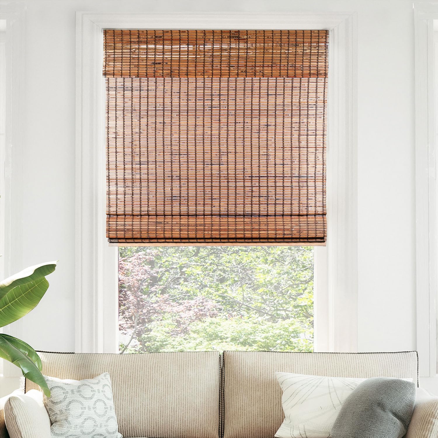 CHICOLOGY Bamboo Blinds, Bamboo Shades, Roman Shades for Windows, Roman Window Shades, Window Shades for Home, Bamboo Shades for Patio, Blinds & Shades, Window Shade, 39"W X 64"H, Beaver