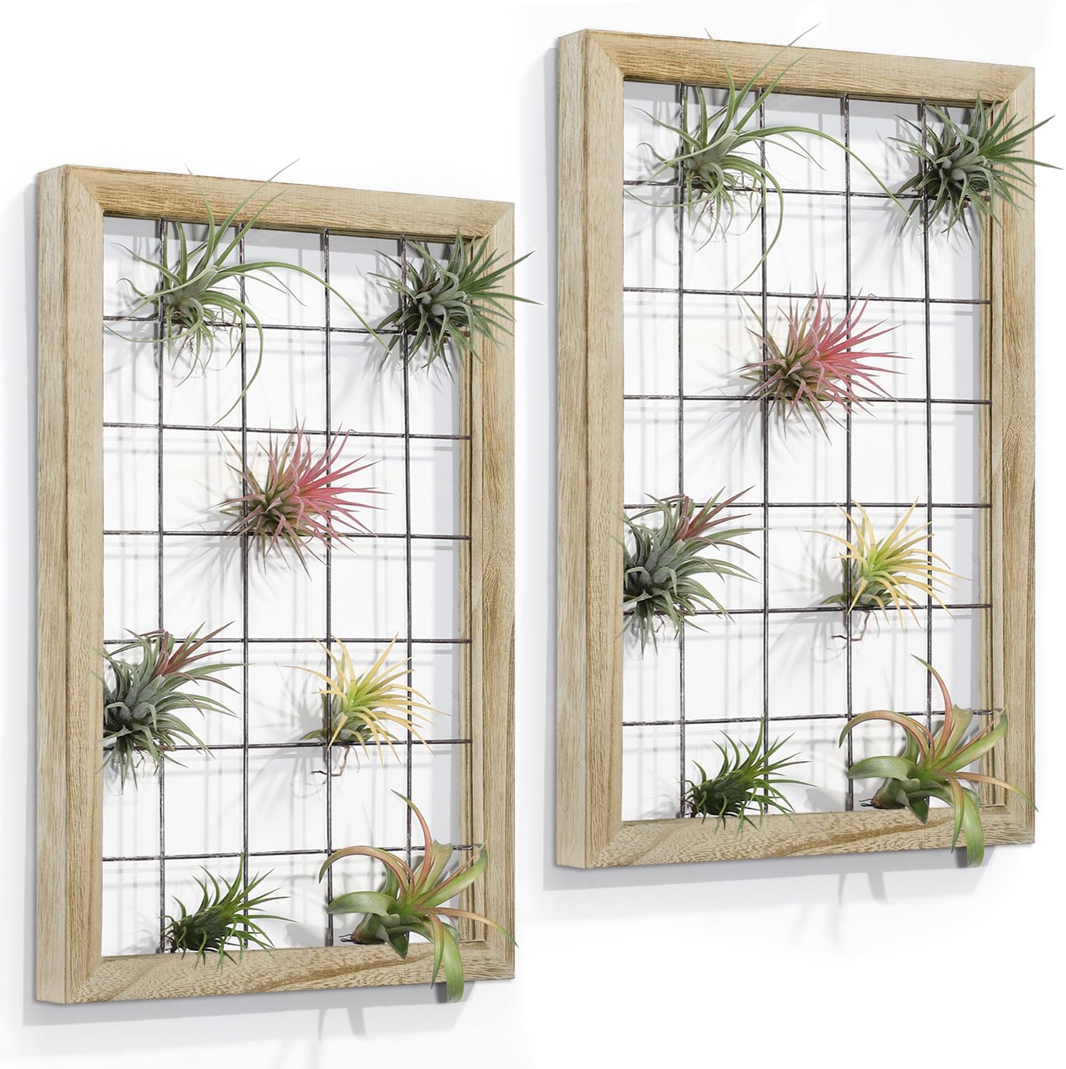 AOAOPQ 2 Pack Air Plant Frame Hanging Airplant Holder Display Hanger Wooden Shelf Wall Decor for House Succulent Lovers