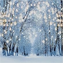 Allenjoy 6 x 6 FT Winter Forest Backdrop Wonderland Snowflake Photography Background Bokeh Glitter Snow Scene Christmas Party Decoration Tree Landscape Portrait for Photobooth Photo Studio