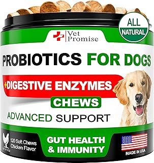 Probiotics for Dogs - Dog Probiotics and Digestive Enzymes for Gut Health, Itchy Skin, Allergies, Immunity, Yeast Balance - Prebiotics - Reduce Diarrhea, Gas - 120 Probiotic Chews Supplement for Dogs