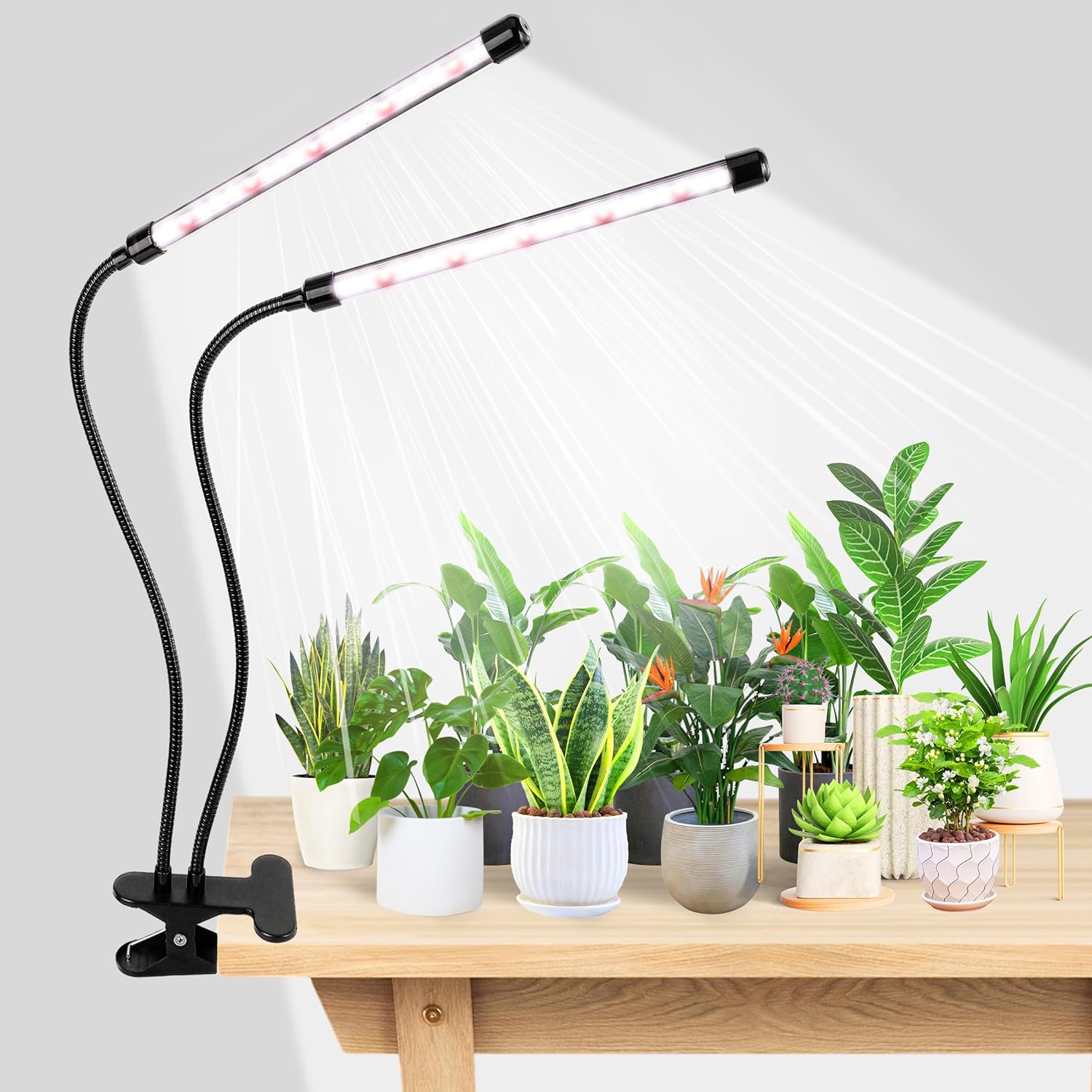 Grow Light 6500K Full Spectrum Plant Grow Lamp with Clip - 84 LED Plant Light for Indoor Plants