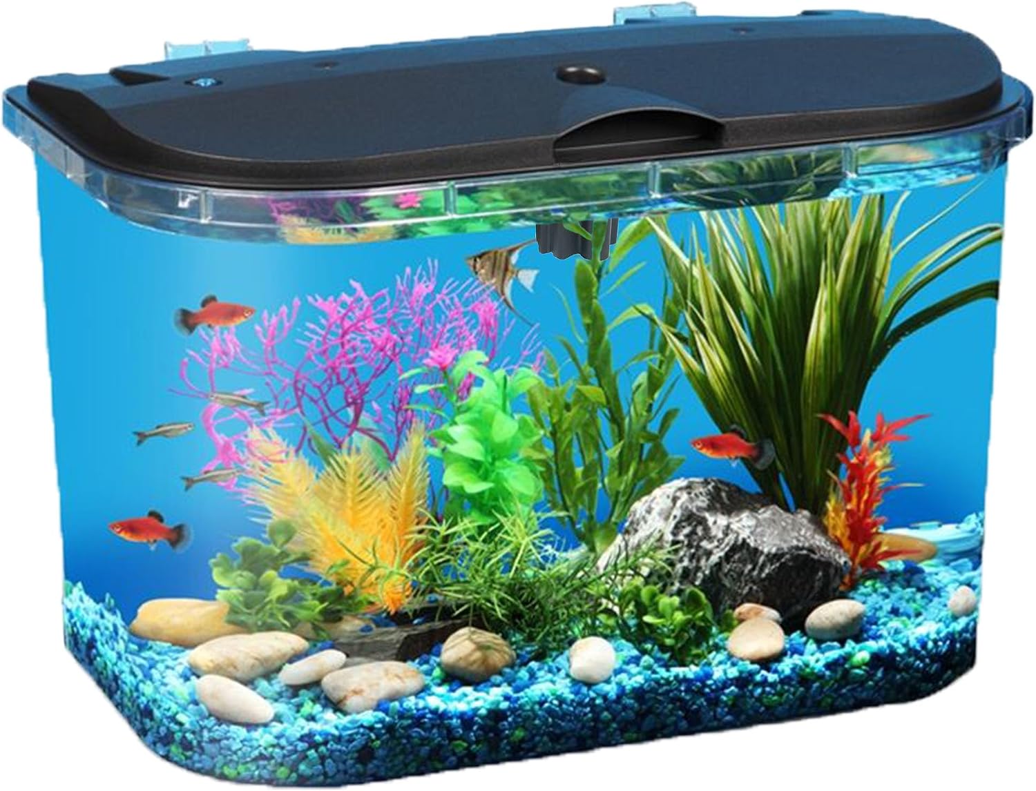 Koller Products 5-Gallon Aquarium Kit with LED Lighting and Power Filter, Ideal for a Variety of Tropical Fish