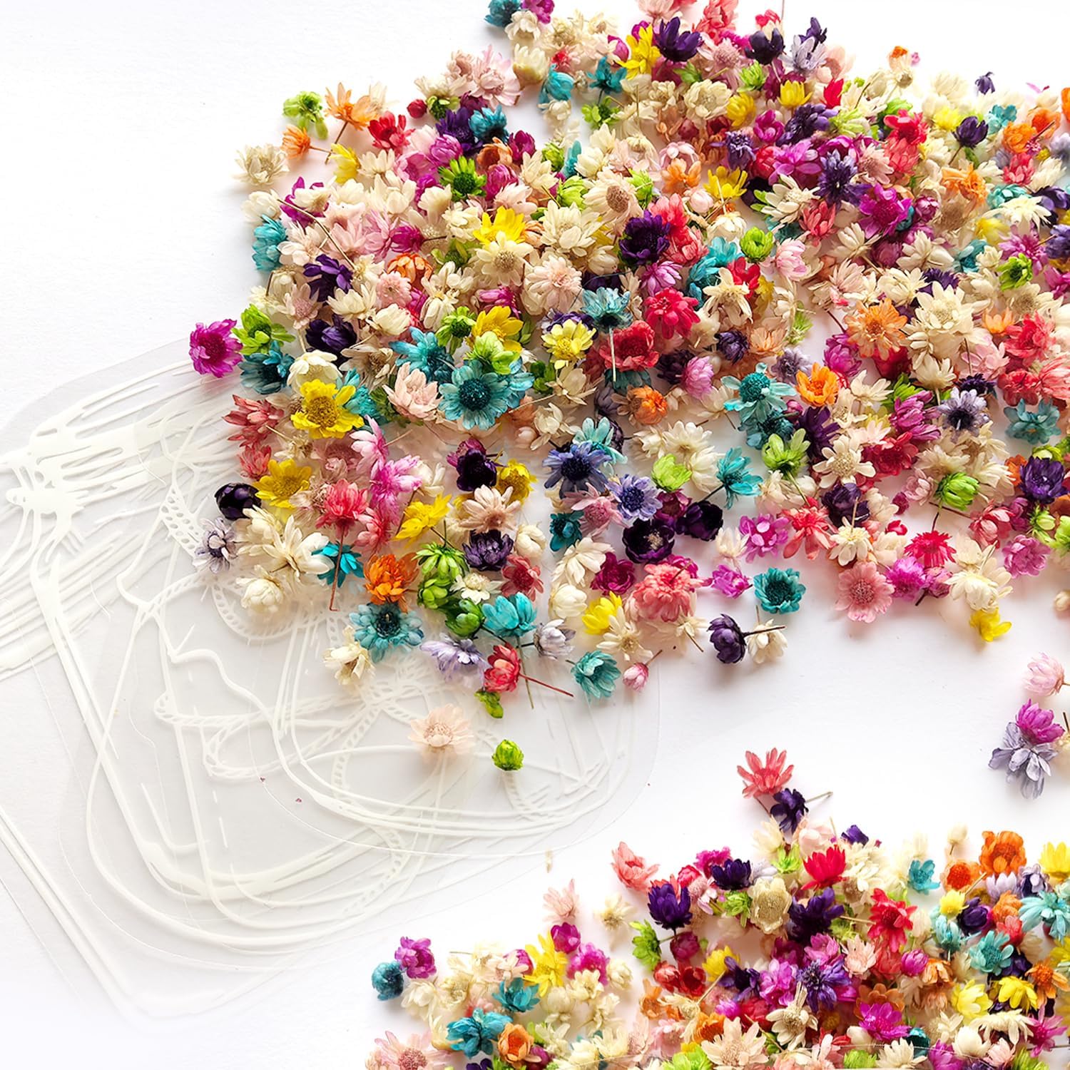 520 Mini Pressed Dried Flowers for Resin Crafts with 5 Transparent Laminating Films - Bulk Tiny Flowers for Bookmarks, Jewelry, Candles, DIY Epoxy Resin Accessories