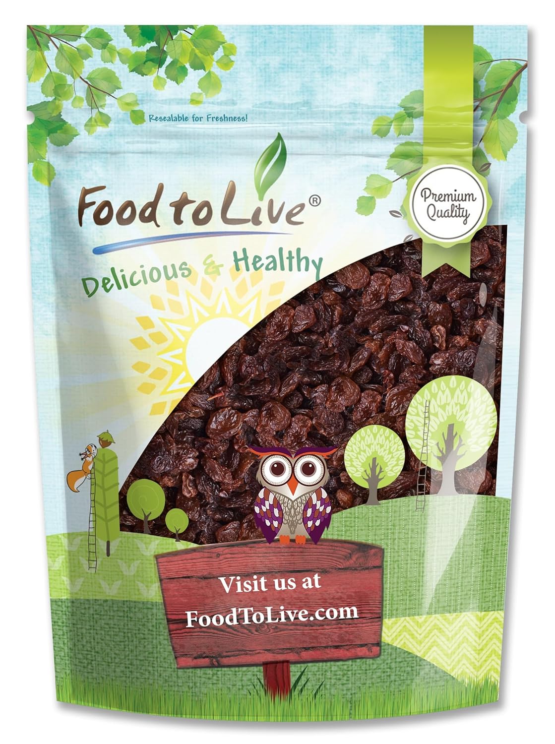 Food to Live Sultana Raisins, 2.5 Pounds – Natural Dried Grapes for Baking, Snacking & Trail Mixes. No Sugar Added, Unsulfured, Lightly Coated with Sunflower Oil. Perfect Pantry Staple