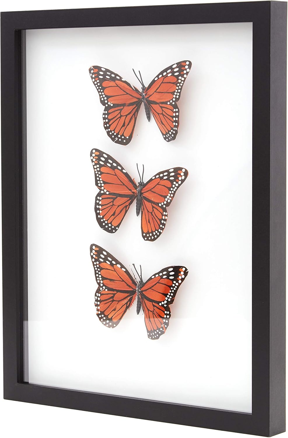 Super-Sturdy, 11x14 Black Shadow Box Frame With Glass 1. Great Seashell Display Case Size 9 None Quality Display Box