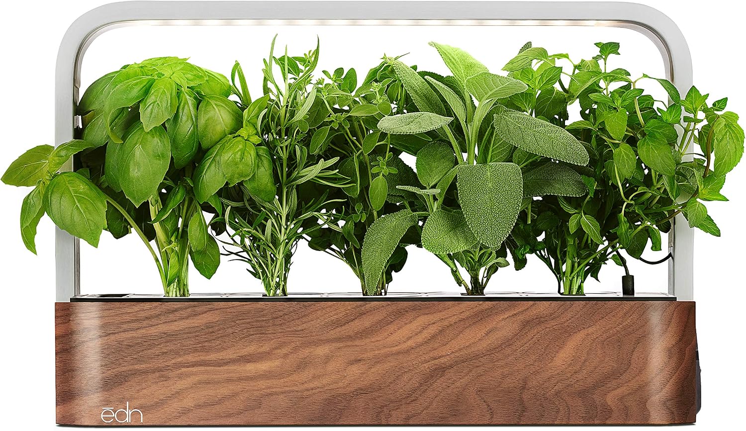 edn Indoor Smart Garden with Basil SeedPods for iOS Devices