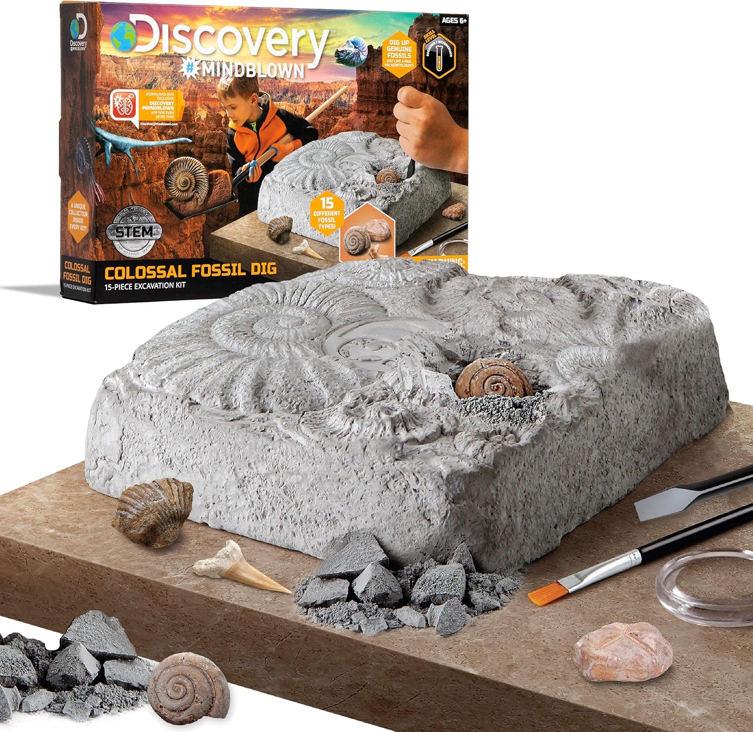 Discovery™ Colossal Fossil Dig Set, 15-Piece Archeology Excavation Kit, Uncover Real Shark Teeth & More, Every Fossil Set is Unique, STEM Toys for Boys and Girls