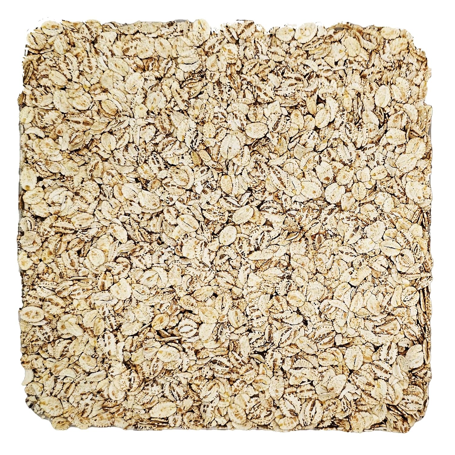 Home Brew Ohio Flaked Barley 1lb