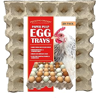 Paper Pulp Egg Trays - 20 Pack