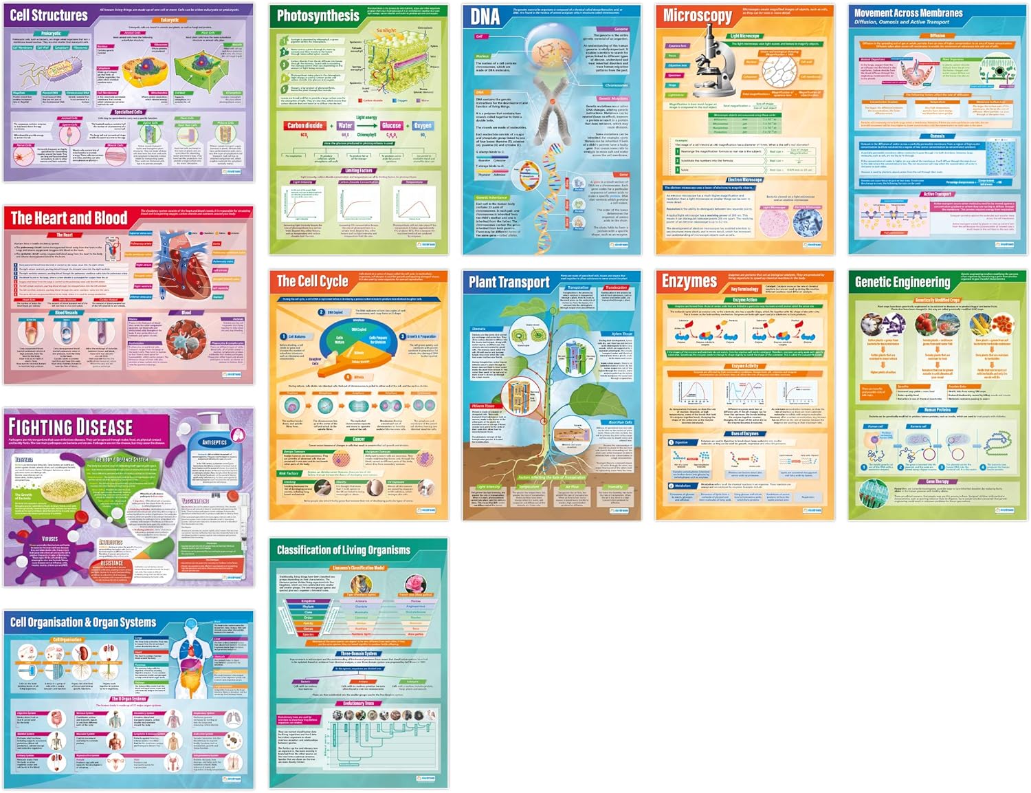 Daydream Education Biology Educational Science Posters – Set of 13 Biology Posters – Extra Large 33x23 Gloss Paper Classroom Wall Chart for STEM, Middle School, & High School – Science Classroom Decor