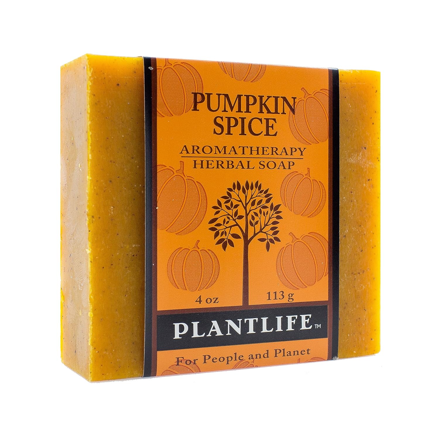 Plantlife Pumpkin Spice Bar Soap - Moisturizing and Soothing Soap for Your Skin - Hand Crafted Using Plant-Based Ingredients - Made in California 4oz Bar